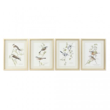 Painting DKD Home Decor 35 x 2,5 x 45 cm Traditional Birds (4 Pieces)