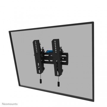 TV Statīvs Neomounts WL35S-850BL12 24-55" 50 kg