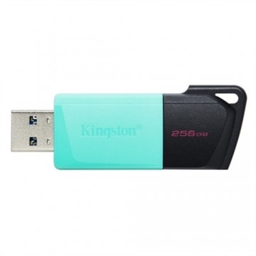 USВ-флешь память Kingston DataTraveler DTXM 256 GB 256 GB