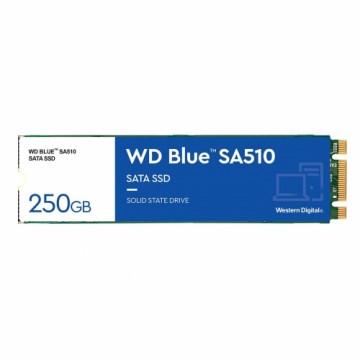 Жесткий диск Western Digital WDS250G3B0B 250 GB SSD