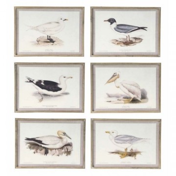 Painting DKD Home Decor 70 x 2,5 x 50 cm Traditional Birds (6 Pieces)