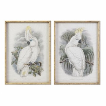 Картина DKD Home Decor Колониальный Птица (50 x 2,8 x 70 cm) (2 штук)
