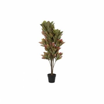 Декоративное растение DKD Home Decor Коричневый Зеленый PE (50 x 50 x 140 cm)