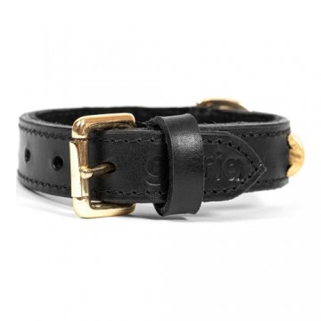 Dog collar Gloria Duna Black Golden (50 x 2,5 cm)