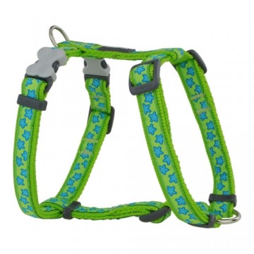 Suņu drošības siksna Red Dingo Style Zvaigzne Zaļš 25-39 cm