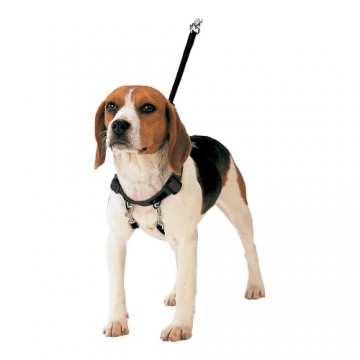 Упряжь для собак Gloria Pets 40-60 cm Размер L