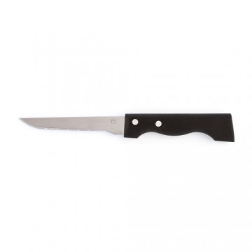 Meat Knife Amefa Campagnard Metal Bicoloured (21,5 cm) (Pack 12x)