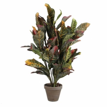 Dekoratīvs Augs Mica Decorations Croton Zaļš PVC (73 x 40 cm)