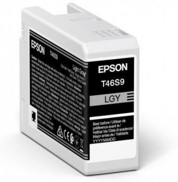 EPSON  
         
       UltraChrome Pro 10 ink T46S9 Ink cartrige, Light Gray