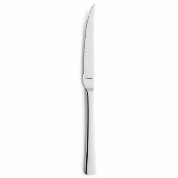 Набор ножей для мяса Amefa Atlantic Металл Нержавеющая сталь 12 штук