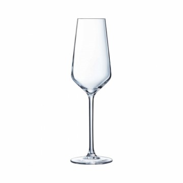 C&S Бокал шампанского и шампанского Chef & Sommelier Distinction 6 штук Cтекло (230 ml)