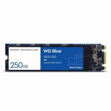 Жесткий диск Western Digital SA510 500GB