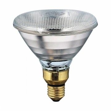 Kvēlspuldze Philips E27 175 W