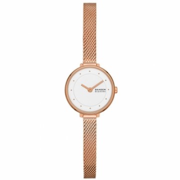 Ladies'Watch Skagen GITTE LILLE (Ø 22 mm)