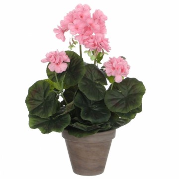 Decorative Plant Mica Decorations PVC Geranium (11,5 x 33 cm)