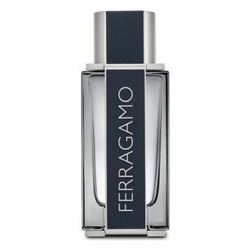 Мужская парфюмерия Salvatore Ferragamo EDT Ferragamo (100 ml)