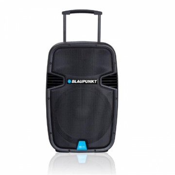 Blaupunkt Profesional System Audio PA15