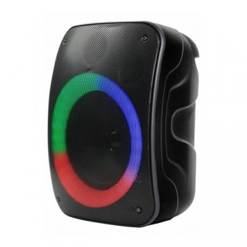 Rebeltec Bluetooth speaker STAGE 300 black