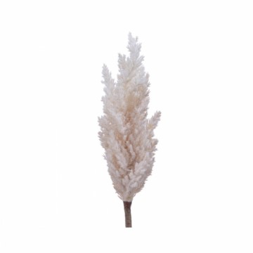 Decorative Plant Everlands Pampas (Ø 9 x 90 cm)