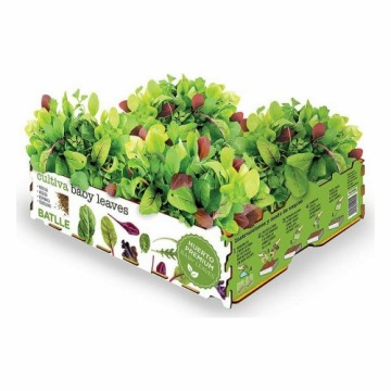 Audzēšanas komplekts Batlle Baby Leaves Salāti 40 x 29 x 10,5 cm 2,6 Kg