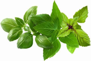 Click & Grow Plant Pod Basil Variety Mix 9pcs