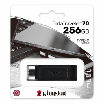 USB Zibatmiņa Kingston DT70/256GB