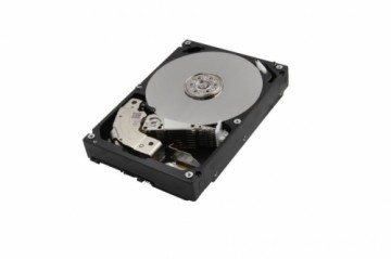 Toshiba  
         
       HDD||10TB|SATA 3.0|256 MB|7200 rpm|3,5"|MG06ACA10TE