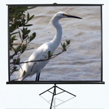 Elite Screens  
         
       Tripod Series T100UWV1 Diagonal 100 ", 4:3, Viewable screen width (W) 203 cm, Black