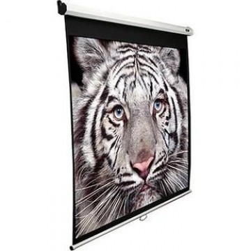 Elite Screens  
         
       Manual Screens M150XWH2 Diagonal 150 ", 16:9, Viewable screen width (W) 332 cm, White