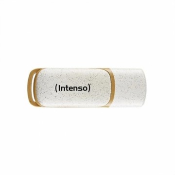 USB Zibatmiņa INTENSO 3540491 128 GB