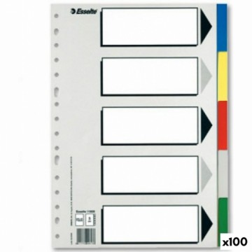 Atdalītāji Esselte 5 Lapas Daudzkrāsains Din A4 (100 gb.)