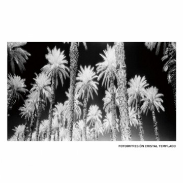 Canvas Palms 120 x 4 x 70 cm Palm tree