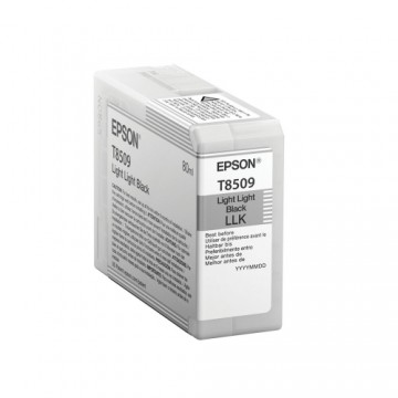 Картридж с оригинальными чернилами Epson C13T850900 Чёрный