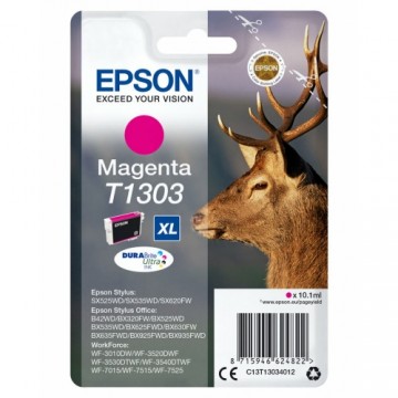 Картридж с оригинальными чернилами Epson C13T13034012