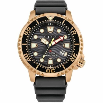 Мужские часы Citizen BN0163-00H