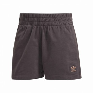 Sporta Šorti Sievietēm Adidas Originals 3 stripes Brūns