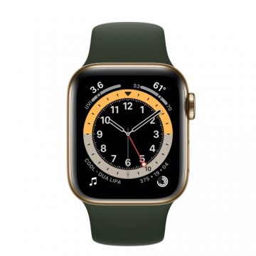 Apple Watch Series 6 40mm Stainless steel GPS+Cellular - Gold (Atjaunināts, stāvoklis Ļoti labi)