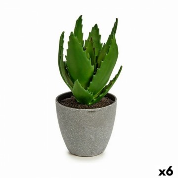 Ibergarden Декоративное растение Алоэ Вера 14 x 21 x 14 cm Серый Зеленый Пластик (6 штук)