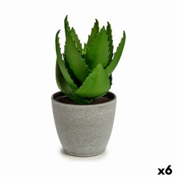 Ibergarden Декоративное растение Алоэ Вера 15 x 23,5 x 15 cm Серый Зеленый Пластик (6 штук)