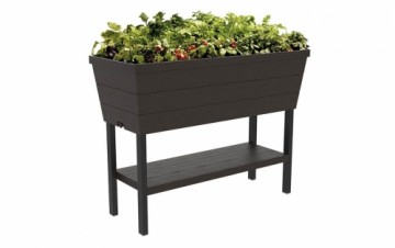 Keter Горшок для цветов Urban Bloomer 48L коричневый