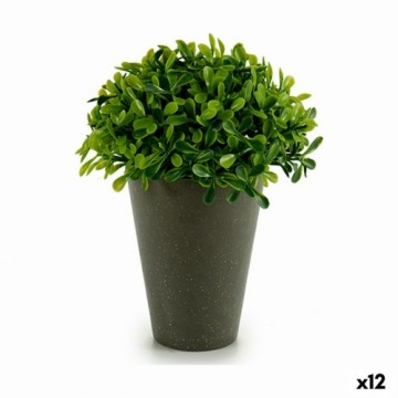 Ibergarden Декоративное растение Пластик 13 x 16 x 13 cm Зеленый Серый (12 штук)