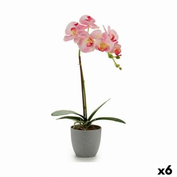 Ibergarden Декоративное растение Орхидея Пластик 13 x 39 x 22 cm (6 штук)