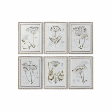 Картина DKD Home Decor современный Ботанические растения 45 x 2,5 x 60 cm (6 штук)