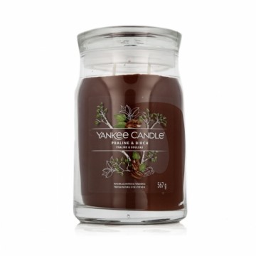 Aromātiska svece Yankee Candle Praline & Birch 567 g