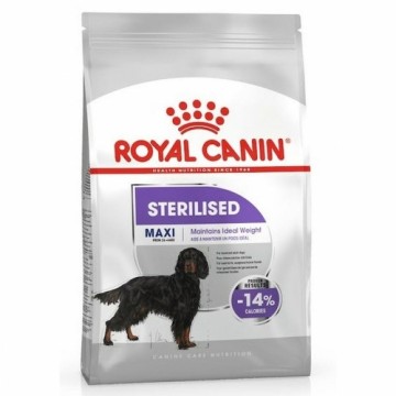 Фураж Royal Canin 12 kg