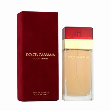Parfem za žene Dolce & Gabbana EDT Pour Femme 100 ml