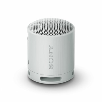 Портативный Bluetooth-динамик Sony SRS-XB100 Серый