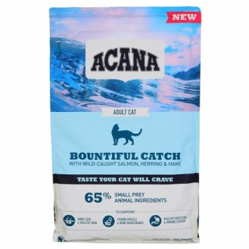 Корм для котов Acana Bountiful Catch Для взрослых Лососевый 1,8 kg