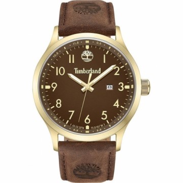 Мужские часы Timberland TDWGB0010104