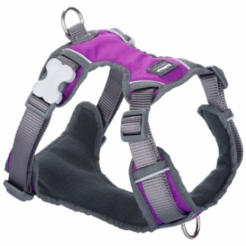 Dog Harness Red Dingo Dingo 47-73 cm 56-80 cm Purple L